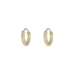 Twisted Petite Hoops
