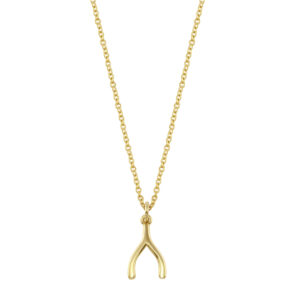 Tiny Wishbone Necklace